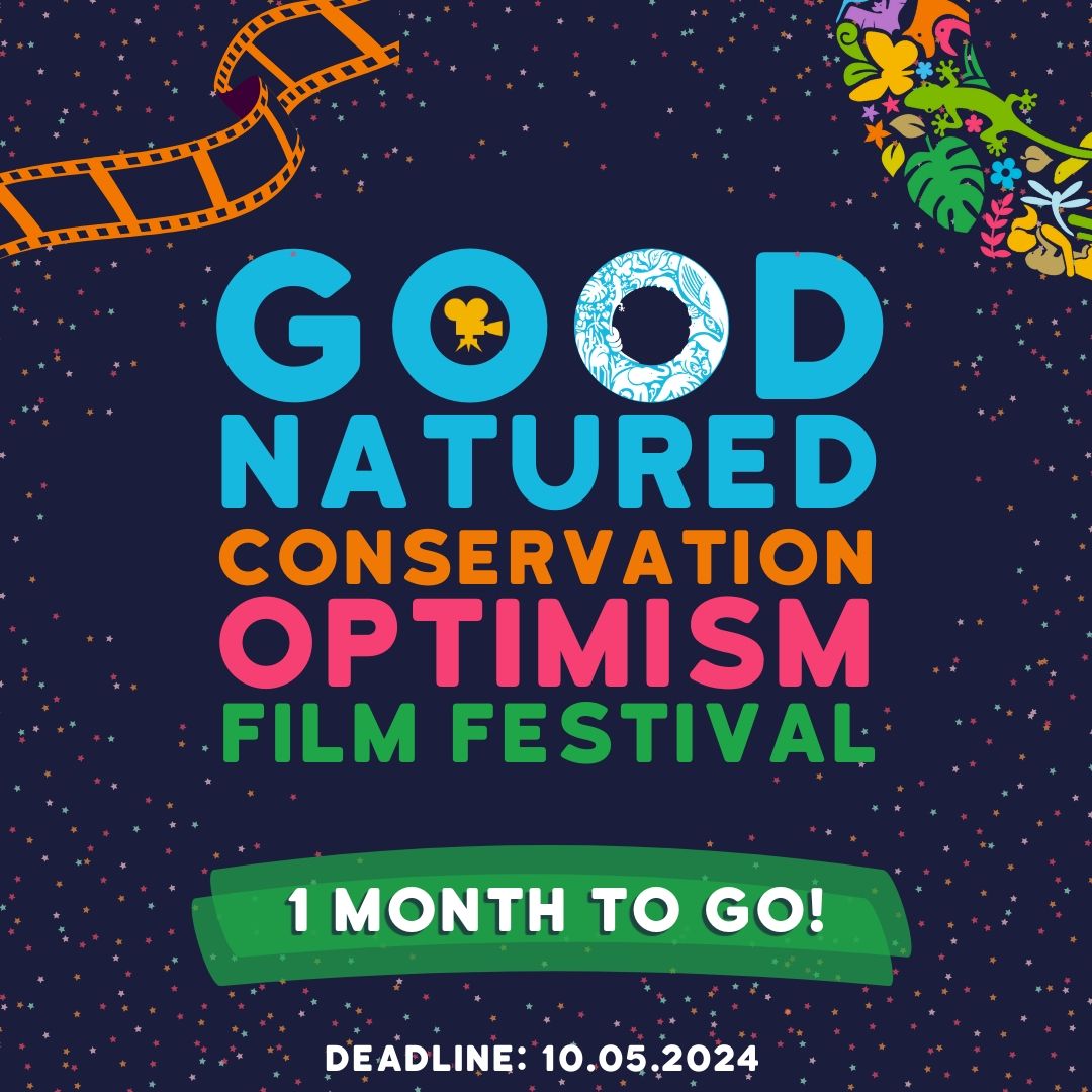 Meet The Judges #2

Sharon Shattuck is an Emmy nominated documentary filmmaker and celebrated podcast host. She will be a judge &amp; mentor at the 2024 #ConservationOptimism Film Festival.

Submit your short films and animations by May 10, 2024 to:
buff.ly/3ThKSjk