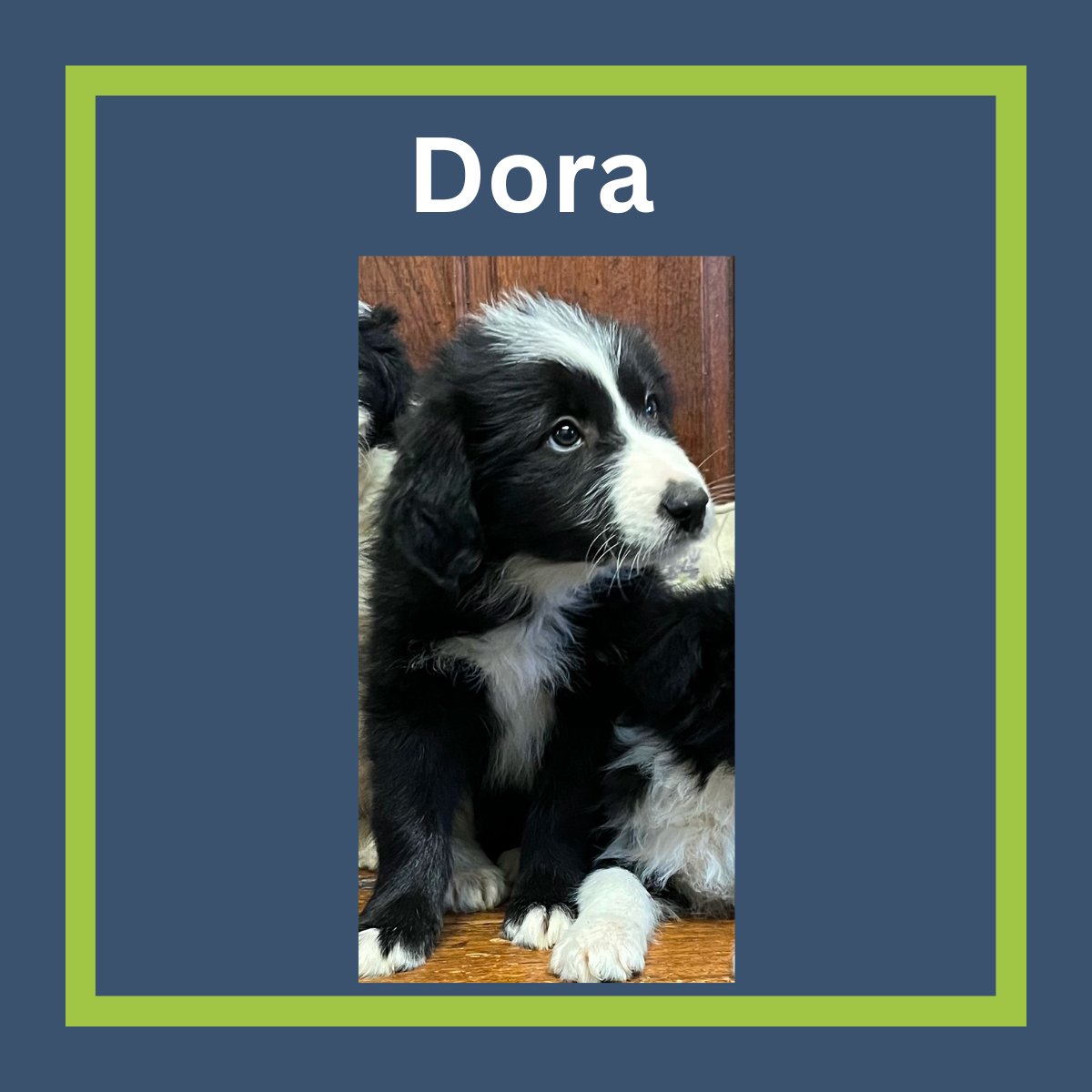 DeltaXignia tweet media