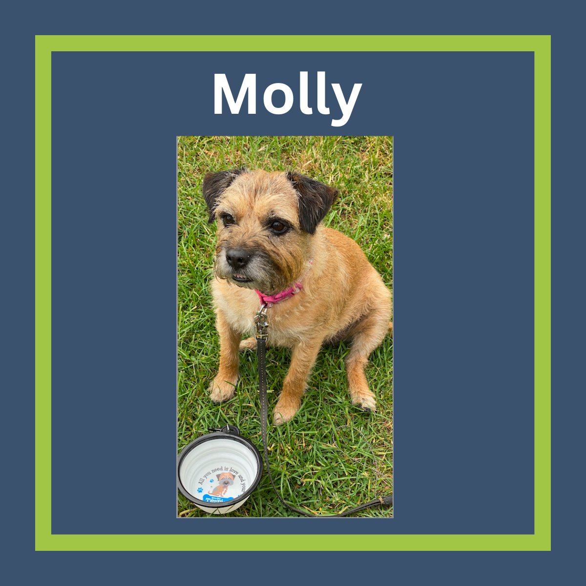 DeltaXignia tweet media