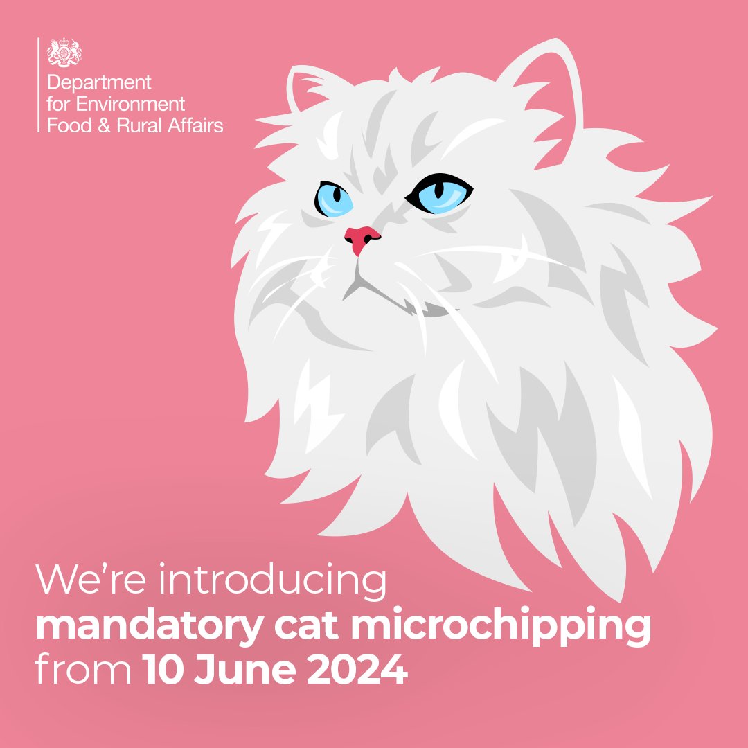 Attention cat owners! 🐱 From 10 June 2024 cats over 20 weeks old must be #microchipped and registered on a compliant database 📆 Microchipping is the most effective way of ensuring lost pets can be identified and reunited with their owners. #AnimalWelfare