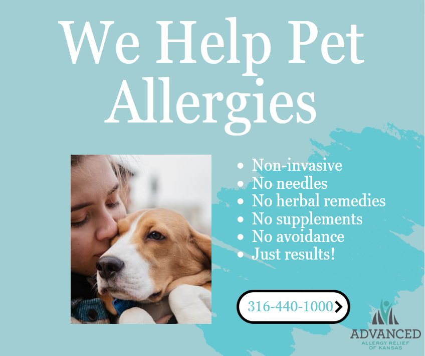 Does your furry friend give you pet allergies? 🐶🐱 Shubert Natural Health Care and Chiropractic is here to help! Our non-invasive approach means no needles, herbs, supplements, or avoidance tactics—just effective results! 

#PetAllergies #AllergyRelief #ShubertHealthCare