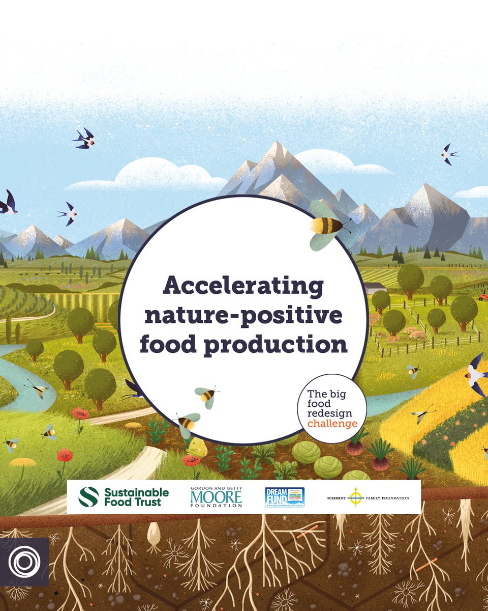 As part of the #BigFoodRedesign Challenge, the Foundation recognises startups and small businesses as essential actors within the food system, boosting their progression in the Challenge through a share of over £500 thousand. 🌱 Find out more: links.emf.org/3xyS2Yf