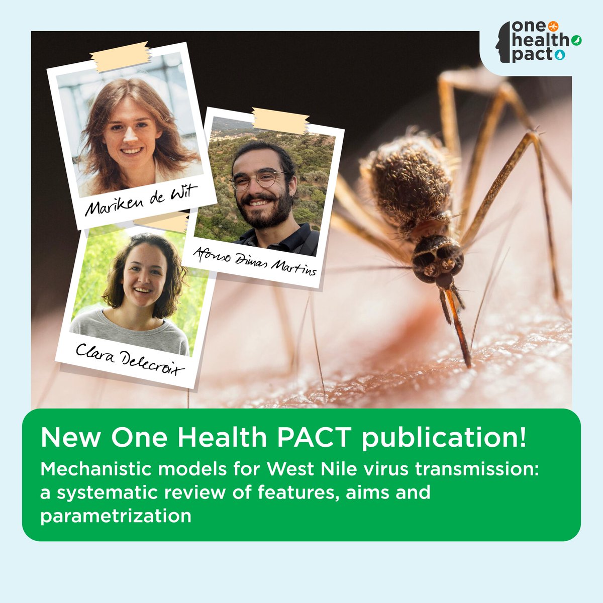 Mechanistic models for West Nile virus transmission: a systematic review of features, aims and parametrization. A study by @MarikendeWit, Afonso Dimas Martins and @clara_delecroix. Read the publication via: bit.ly/3xxghG8 #OneHealth #Mosquito #westnilevirus #science