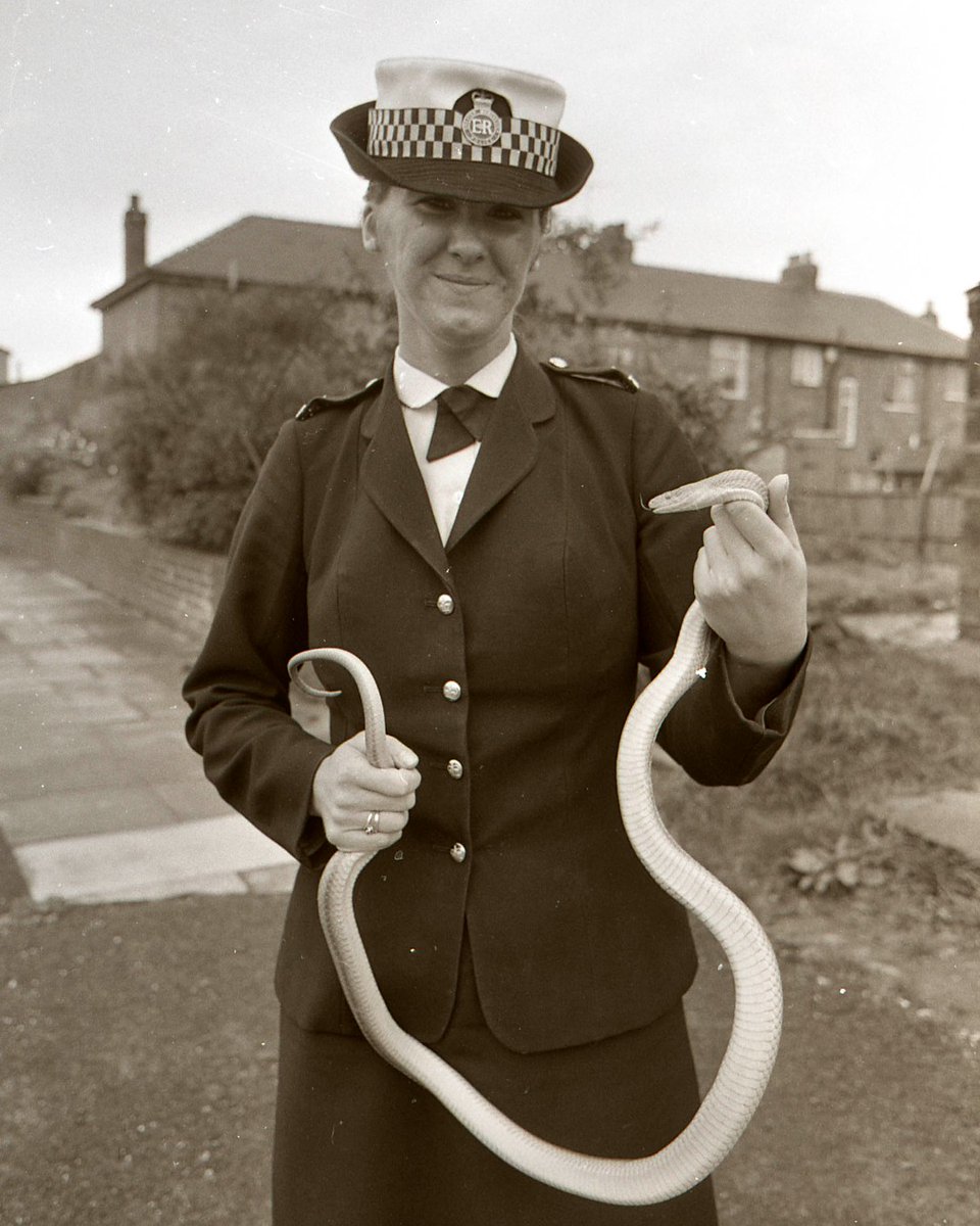 #GMP50 | The one that tried to get away? 

An officer poses for a photograph in 1983 holding a snake. 

This photo is one of the many taken from our archives as GMP celebrates it’s 50 year anniversary. 

#TBT #ThrowbackThursday