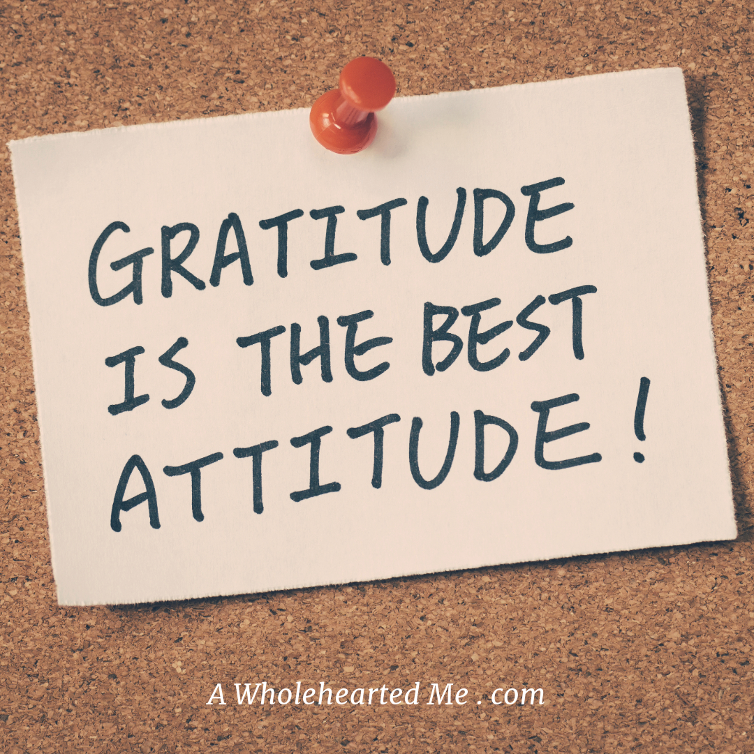 Expressing gratitude fosters a sense of appreciation and connection in relationships. People who feel appreciated are more likely to reciprocate with kindness, leading to stronger and more fulfilling social connections. #gratitude #GratitudeDaily #Gratitude365 #happiness