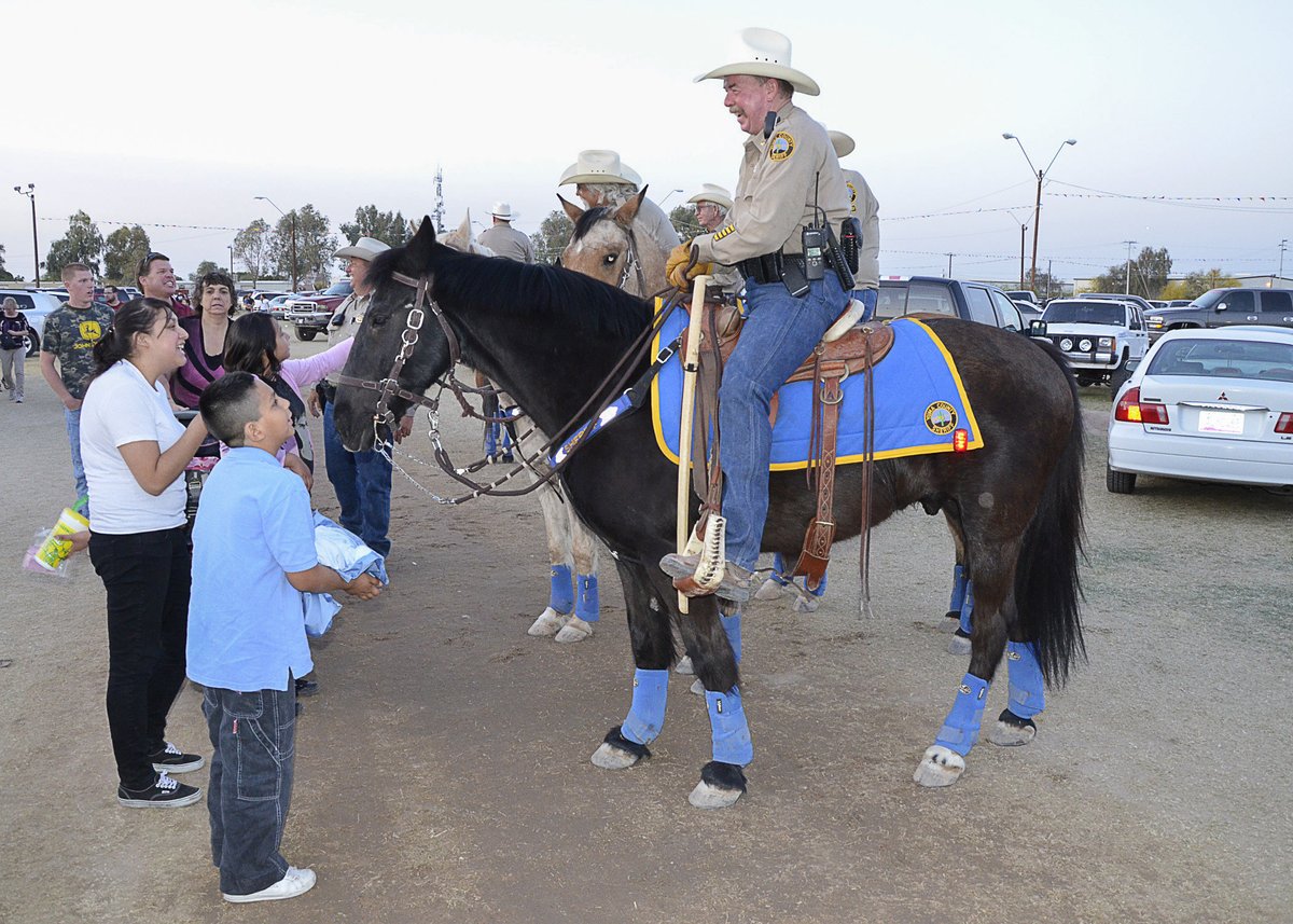 This #NationalPetDay, we're throwing it back to when #DLADispositionServices found a new home for an @USArmy horse named Tommy with the @YumaSheriff posse. 🐴 Let's paws to celebrate this special day by sharing a photo of your beloved pet! 🐾