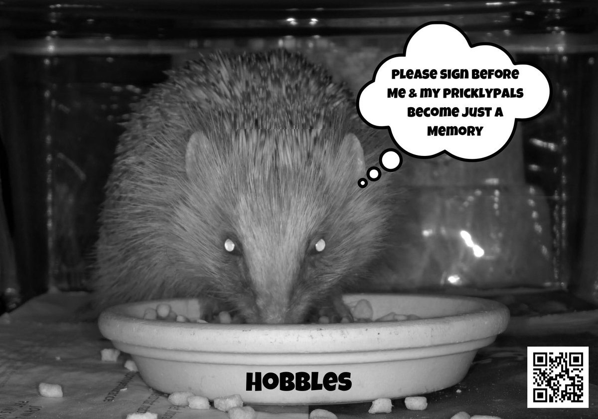 My #ThursdayMotivation is getting my #Hedgehog petition to 10,000 signatures & a government response. As you are a patron of the @hedgehogsociety I’m hoping you will step @DrAmirKhanGP & support. Thank you. 👉🏻🦔petition.parliament.uk/petitions/6580…