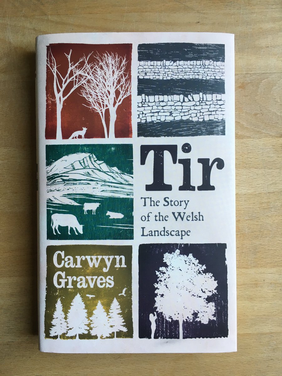 My review of Tir by @carwyn_graves is now live on Over The Field (see the link). It is an excellent book which adds plenty of necessary nuance to current debates concerning rewilding. Highly recommended. overthefield.substack.com/p/a-landscape-…