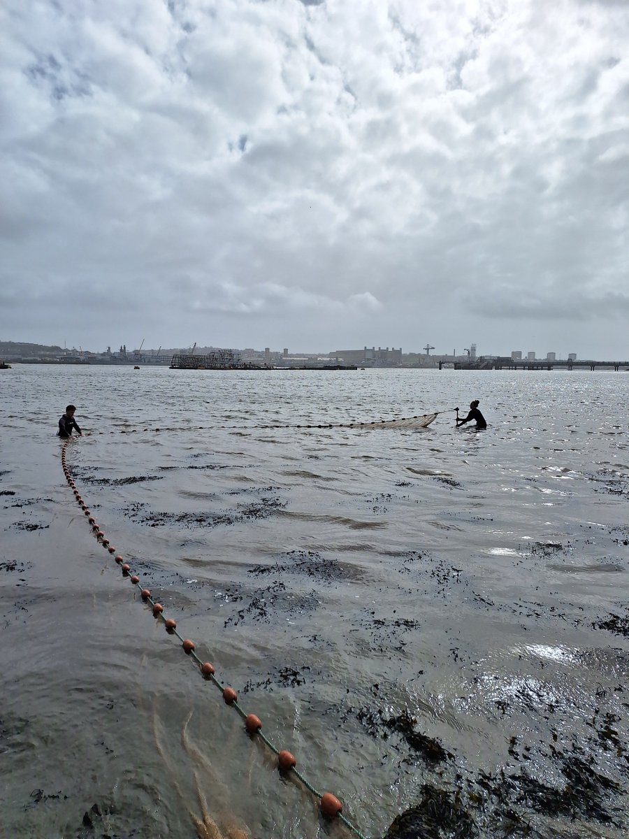 Spring <a href="/PlymUni/">University of Plymouth</a> heralds the start of an intensive campaign to understand habitat needs of early juvenile fish. Exciting to have newly upgraded JHaM-Cam cameras in water for <a href="/DefraGovUK/">Defra UK</a> FISP #FinVision. Much hard work behind the scenes by <a href="/EmbryoPhenomics/">EmbryoPhenomics</a> to develop the tech 🙌