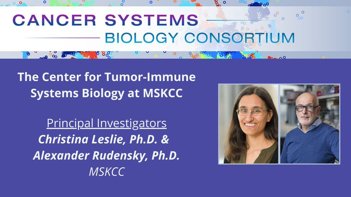 The @MSKCancer #NCICSBC Center is utilizing #SystemsBiology to improve the understanding of tumor-immune interactions in contexts where current #immunotherapies fail and developing new strategies for enhancing responses to treatment. cancer.gov/about-nci/orga…