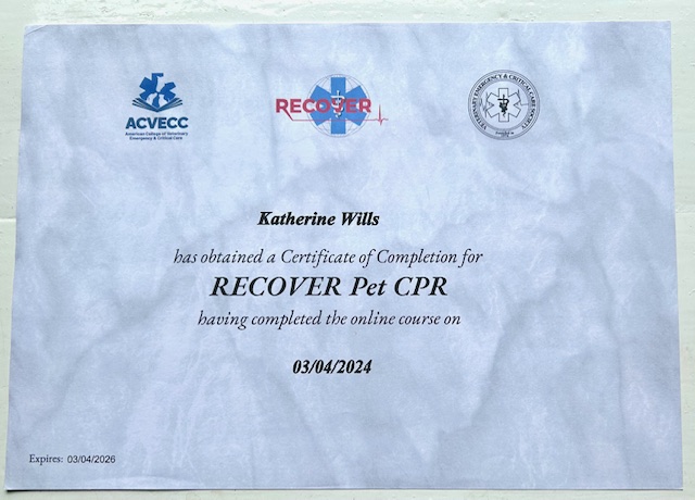 Active First Aid tweet media