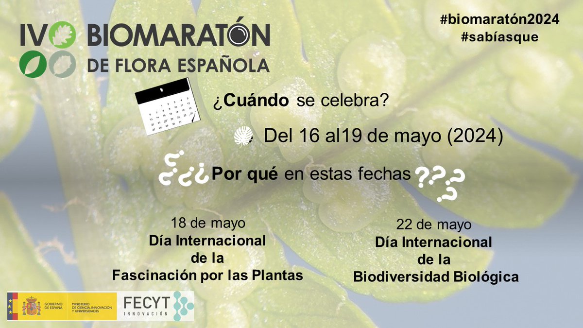 ¡Buenos días! Hoy os queremos contar el motivo tras las fechas de celebración del #Biomaratón2024 Son días importantes para todos los que nos preocupamos y disfrutamos de la #Naturaleza 💚📷🌱