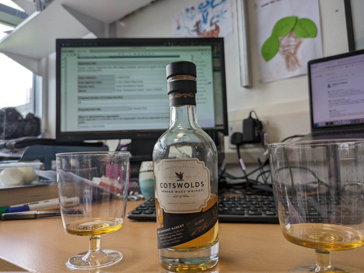 That moment after you submit a fellowship application