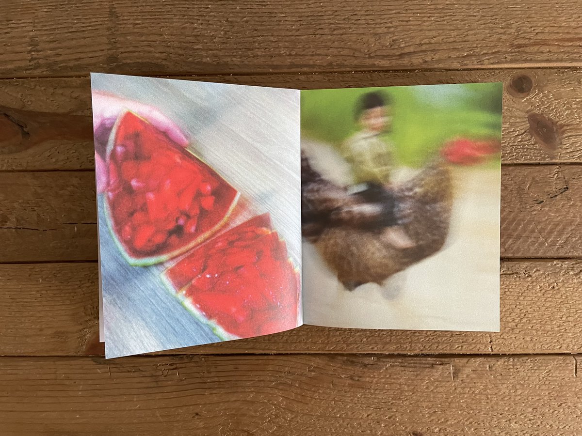 Collector Daily tweet media