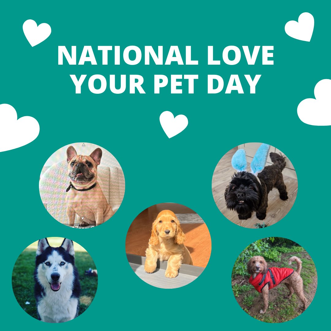 🐾 Happy National Pet Day! 🐾 Meet some our Beyonk furry friends - the fluff in our lives who provide us unconditional love, companionship, and happiness. ❤️🐶🐱🐦 #NationalPetDay #FurryFriends #UnconditionalLove