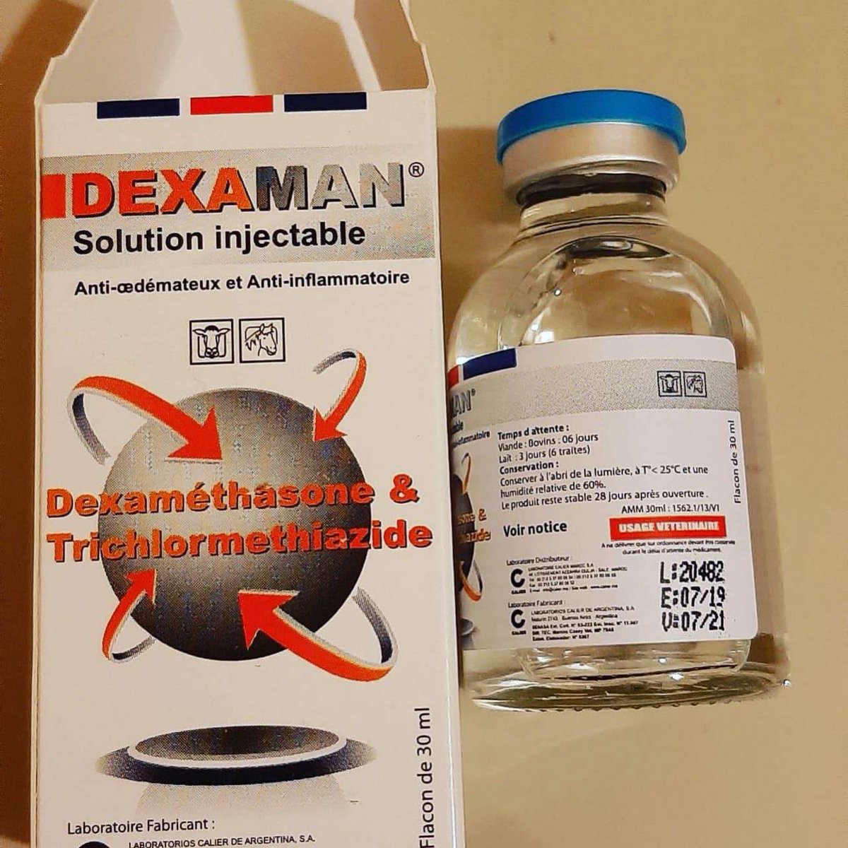 dexaman 2021
whatsapp +212681125600