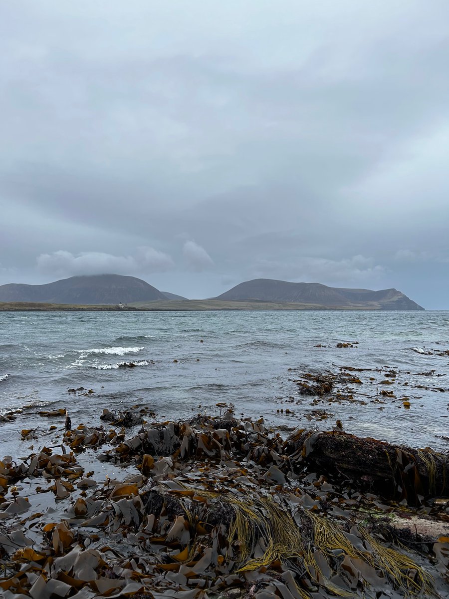 Ruby George tweet media