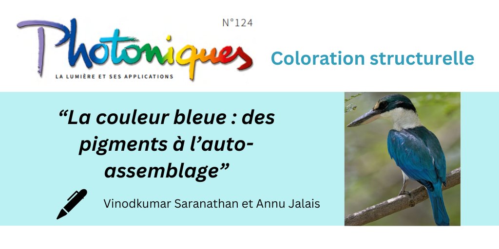 📰'Coloration structurelle' 
'Le pigment bleu a une histoire riche et fascinante dans le monde artistique et artisanal. Mais, dans le règne animal, les pigments bleus sont très rares...' 
➡️ bit.ly/4cjMYHc #freeaccess
@kreauniversity