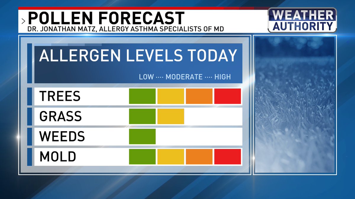 The pollen count remains high today. Rain this afternoon and evening will help ease the sniffling and sneezing. 🤧 @FOXBaltimore #mdwx