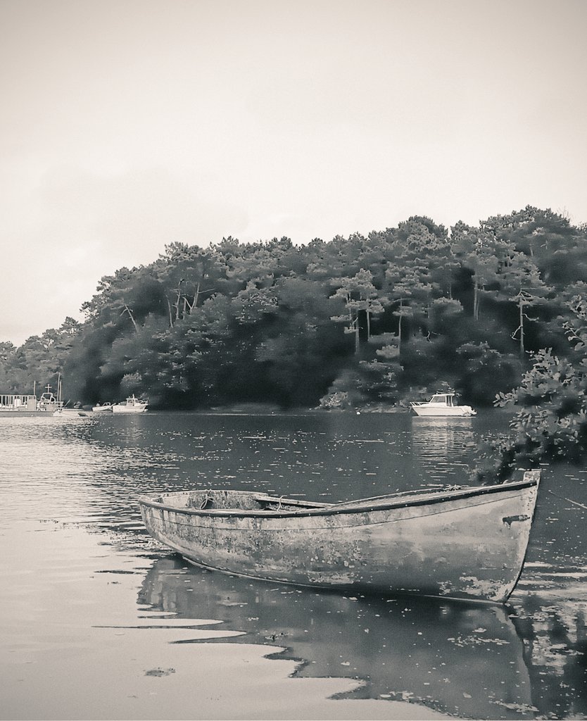 Un petit fleuve du Finistère Sud,
 le Bélon .
#Bretagne