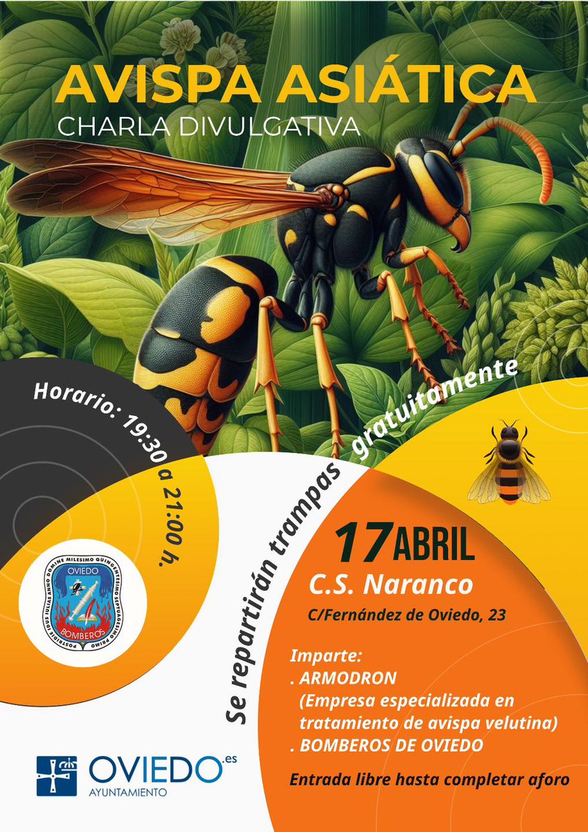 Desde la próxima semana el SEIS ofrecerá charlas sobre la avispa asiática en centros sociales de Oviedo. Las primeras citas son las siguientes: 🐝Día 15 CS Sograndio 🐝Día 16 CS Anieves 🐝Día 17 CS Ciudad Naranco Todas comenzarán a las 19:30h Acceso libre hasta completar aforo