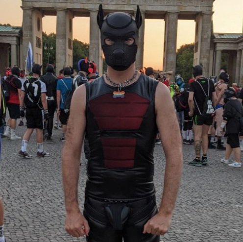 pup_shining's tweet photo. @pup_yankee @Helios_ropes Ouuu ça donne envie 🤩 https://t.co/L4XXBpYcDc