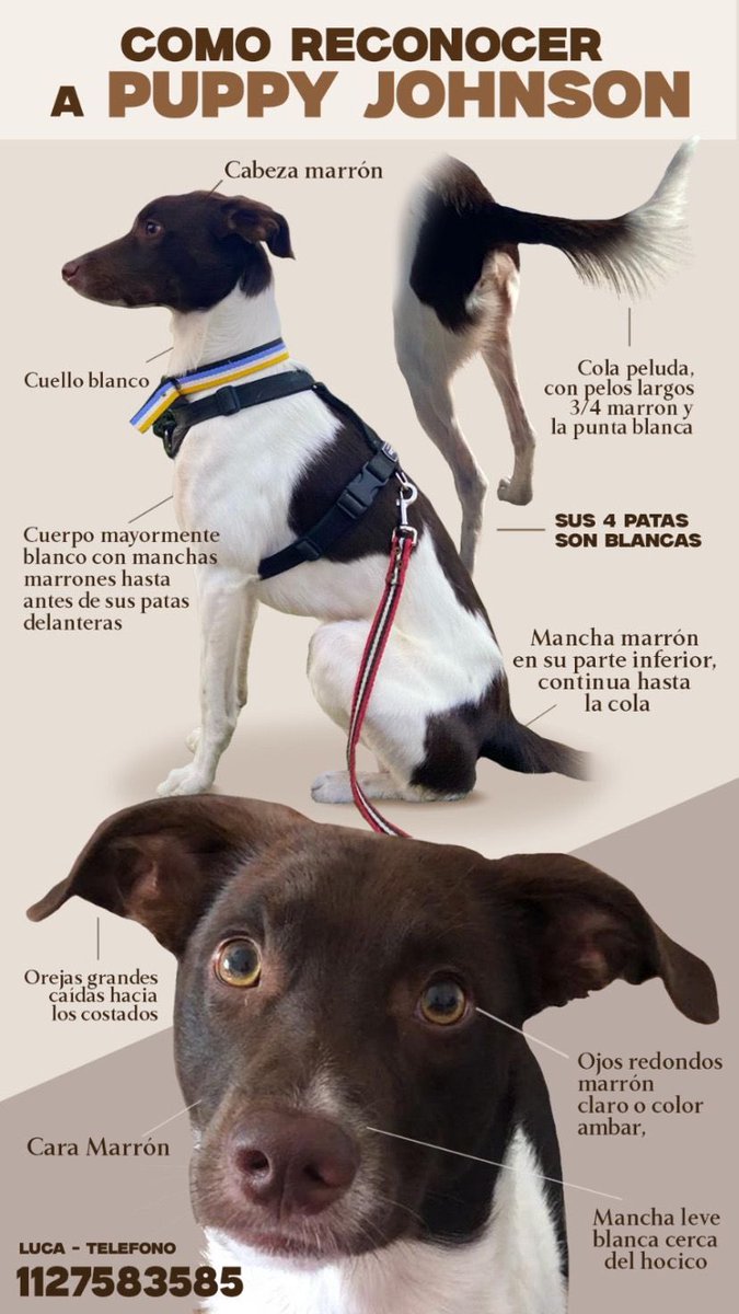 Puchi (@lagarzasosa_) on Twitter photo 