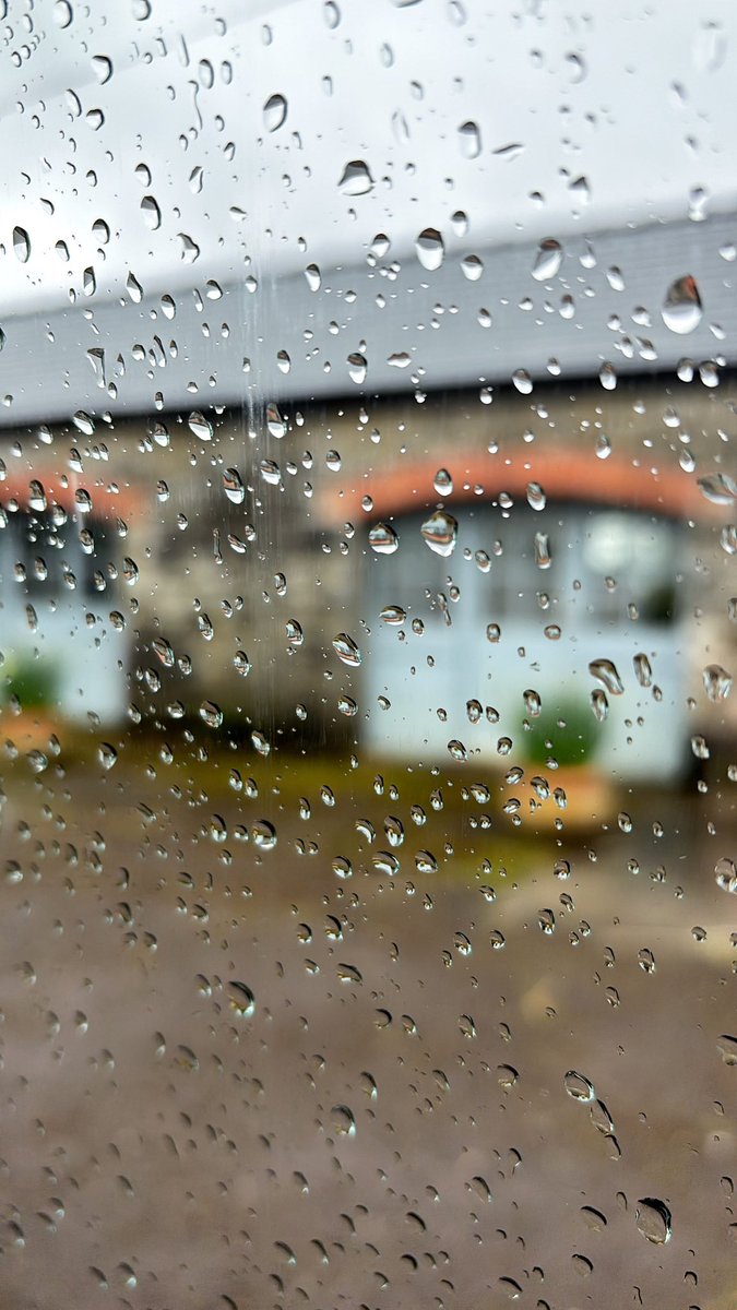 🌧️ 🤦🏻‍♀️ 😢