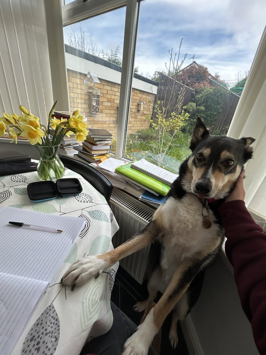 Apparently it’s #PetDay, so I should acknowledge my PhD research assistant. She’s a great listener, and I really appreciate not feeling like I’m talking to myself all the time. Her solution of ‘let’s go for a walk’ has a high success rate for sorting my thoughts out. She’s great.