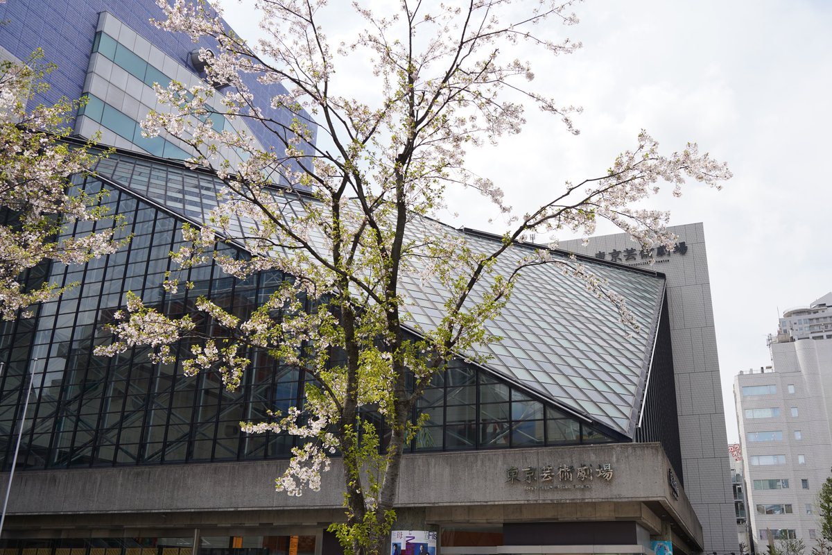 東京芸術劇場前の桜
ほぼ葉桜ですがキレイでした
#東京芸術劇場 #桜
