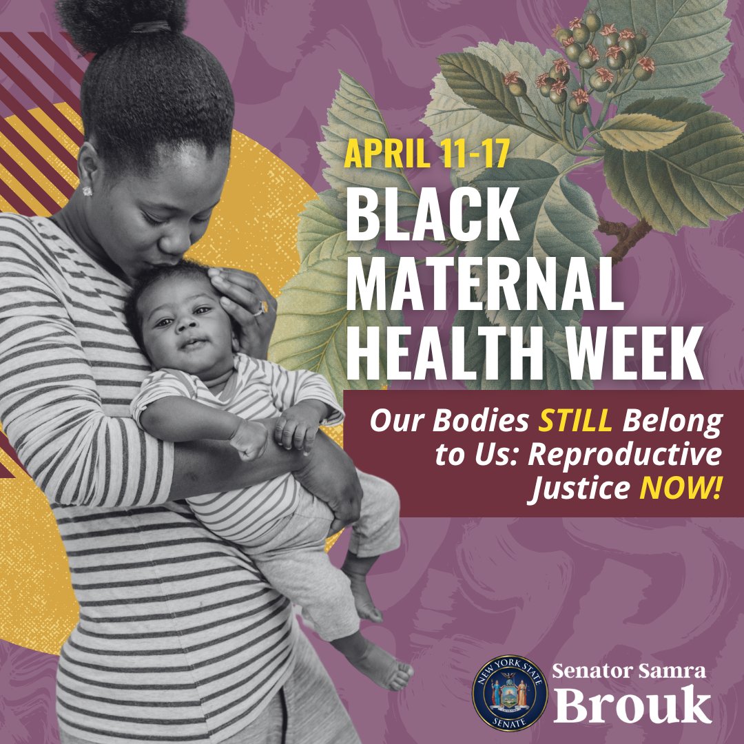 Today marks the beginning of Black Maternal Health Week. This year’s theme is “Our Bodies Still Belong to Us: Reproductive Justice NOW!”. This week, I’ll share what we've accomplished in recent years & the work that remains as NY works to improve materal health outcomes. #BMHW24