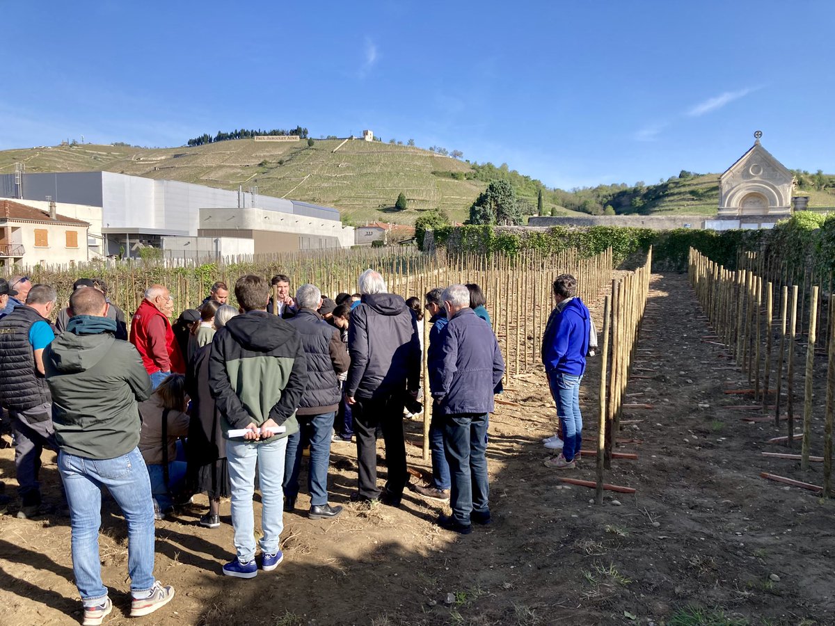 Thomas CHAZALET tweet media