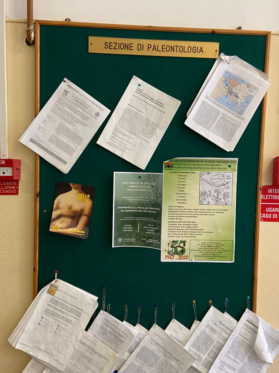 Artribute_'s tweet photo. @romatoday Artribute è venuto anche alla Sapienza, grazie @SapienzaRoma per l’ospitalità 🖼️💦 https://t.co/DxSQZwUqWX