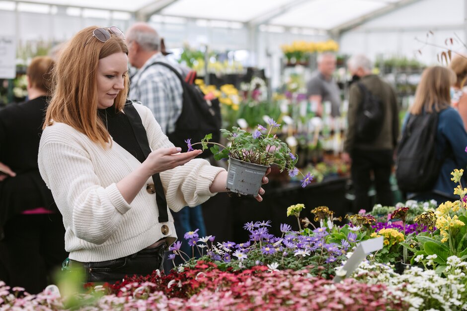 Get ready to green up your garden! Save the date for 20 & 21 of April (10am-4pm)and join us for our Spring Plant Fair where you'll discover a world of stunning plants. Let our specialist nurseries inspire you, & get heaps of expert advice. Standard garden admission applies. 🌱🌷