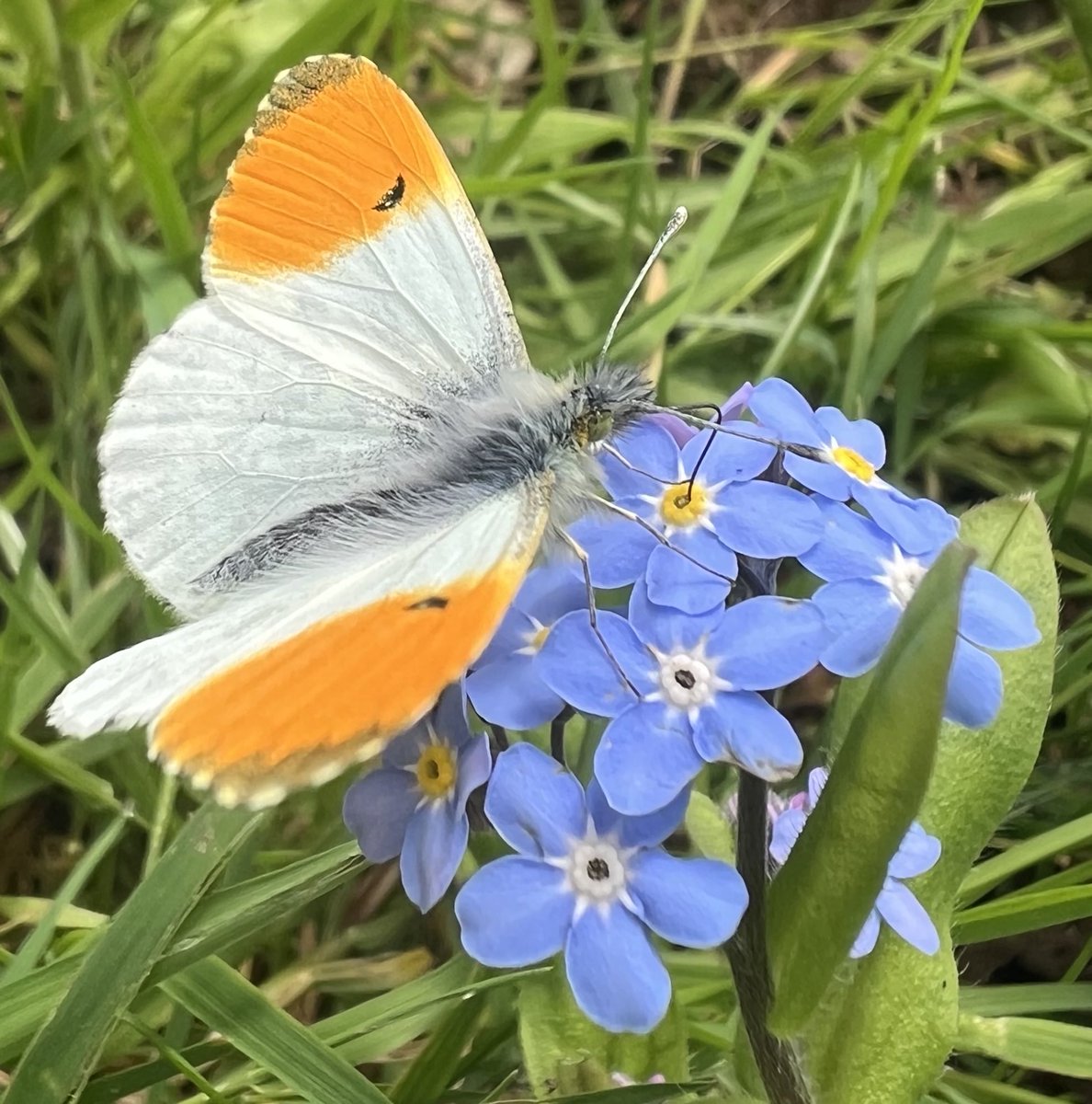 ⁦@BCWarwickshire⁩