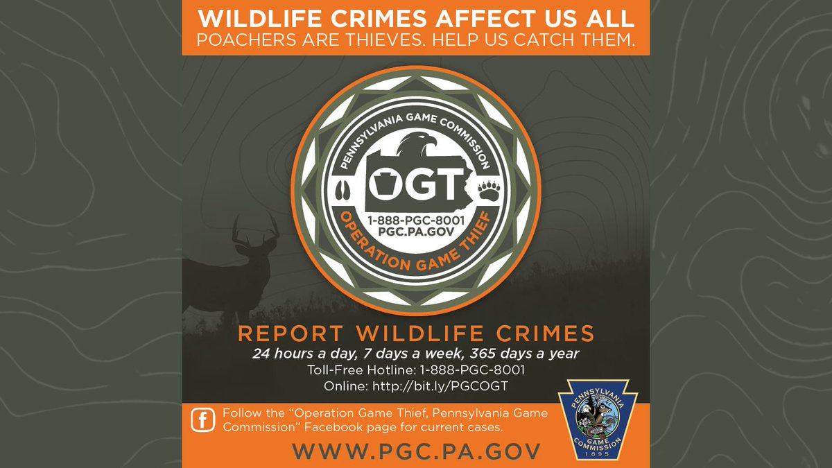 Be a conservation hero and help to protect Pennsylvania’s wild birds and wild mammals by reporting wildlife crimes to the Pennsylvania Game Commission’s Operation Game Thief Hotline at 1-888-PGC-8001 or online at bit.ly/PGCOGT.