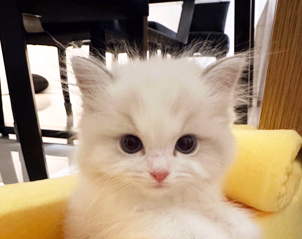 ⠀ ⠀ ⠀ ⠀ ⠀🫳🏻⠀ ⠀ ⠀ ⠀ ⠀ ⠀  ⠀ ⠀⠀ ⠀🫳🏻