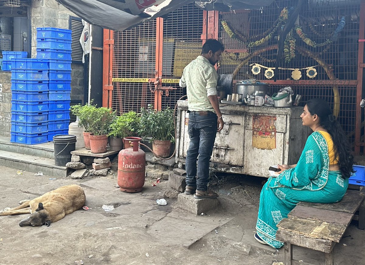 and so a hyperlocal tea stall becomes a street dog’s khwabgah, his fleeting refuge of rest