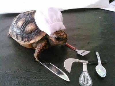 I’ve got a slow cooker…