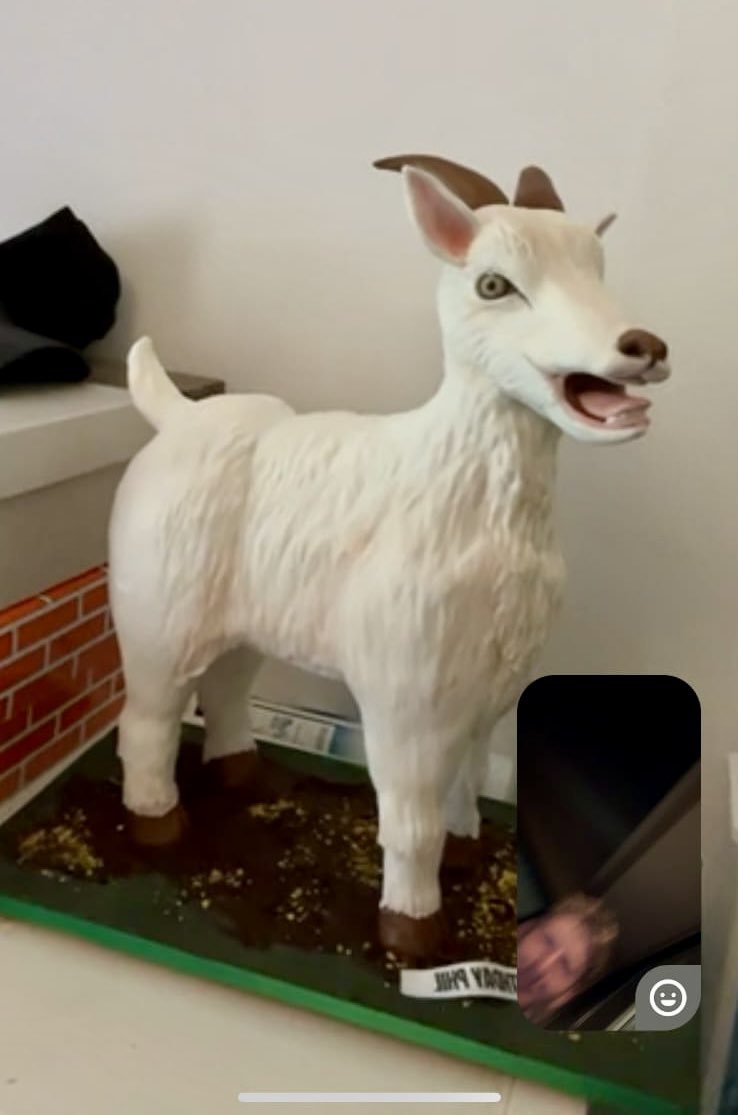 You know your Goats in Coats visitors love goats, when they show you their 50th birthday cake…. ❤️🐐❤️