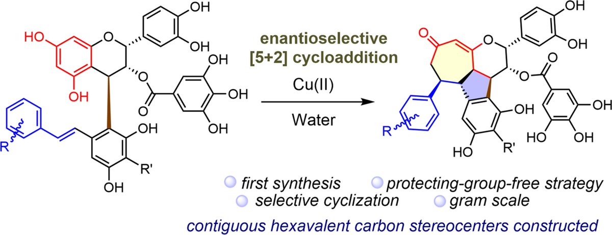 Three-step synthesis of flavanostilbenes with a 2-cyclohepten-1-one core by Cu-mediated [5 + 2] cycloaddition/decarboxylation cascade doi.org/10.1016/j.ccle…
