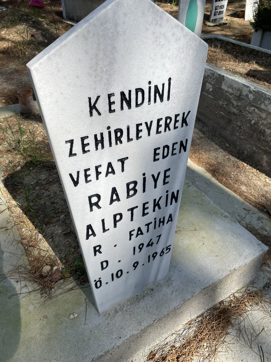 Mezar taşına yazmışım 'İyi bok yemişsin' neden kendini zehirlediğini, sorumlusunu yazsaydın? Kimse 18 yaşında durduk yere zehir içmez, intihar etmez. Belki ailesi çok kötü davrandı, belki bir yakını istismar etti, belki hamile kaldı, belki öldürüldü.