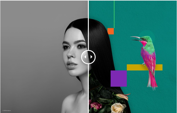 photowhoa's tweet image. Luminar Neo Expiring Today 😱

#luminarneo #luminarskylum #photoeditingtool #lastday

vist.ly/xbre