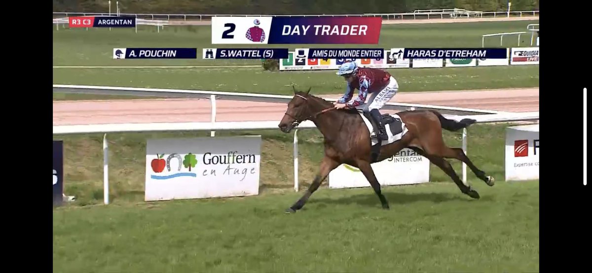 Ecurie Vivaldi tweet media