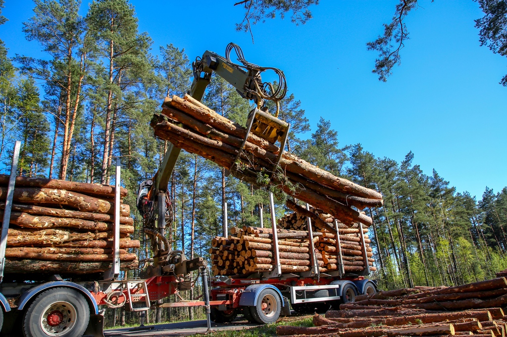 Want to learn about the operations behind timber harvesting? Register now for the Harvesting and Forest Products Tour! Register here: bit.ly/3TPiG7L