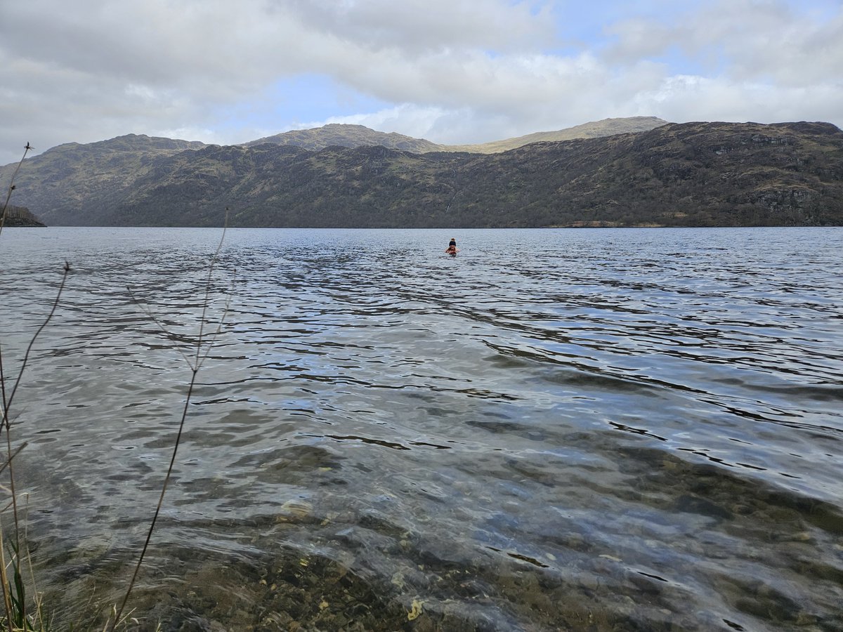 On our way home so had a quick swim from the bonnie banks of Loch Lomond. Water was 5⁰c but felt colder. #wildswimming