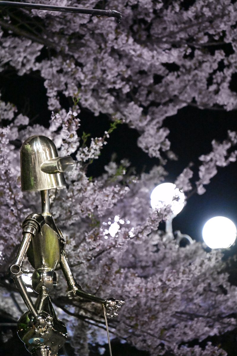 アートオブジェと桜

#鹿嶋セントラル
#私とニコンで見た世界
#ニコンちゃん
#Z6ii
Z24-200mm