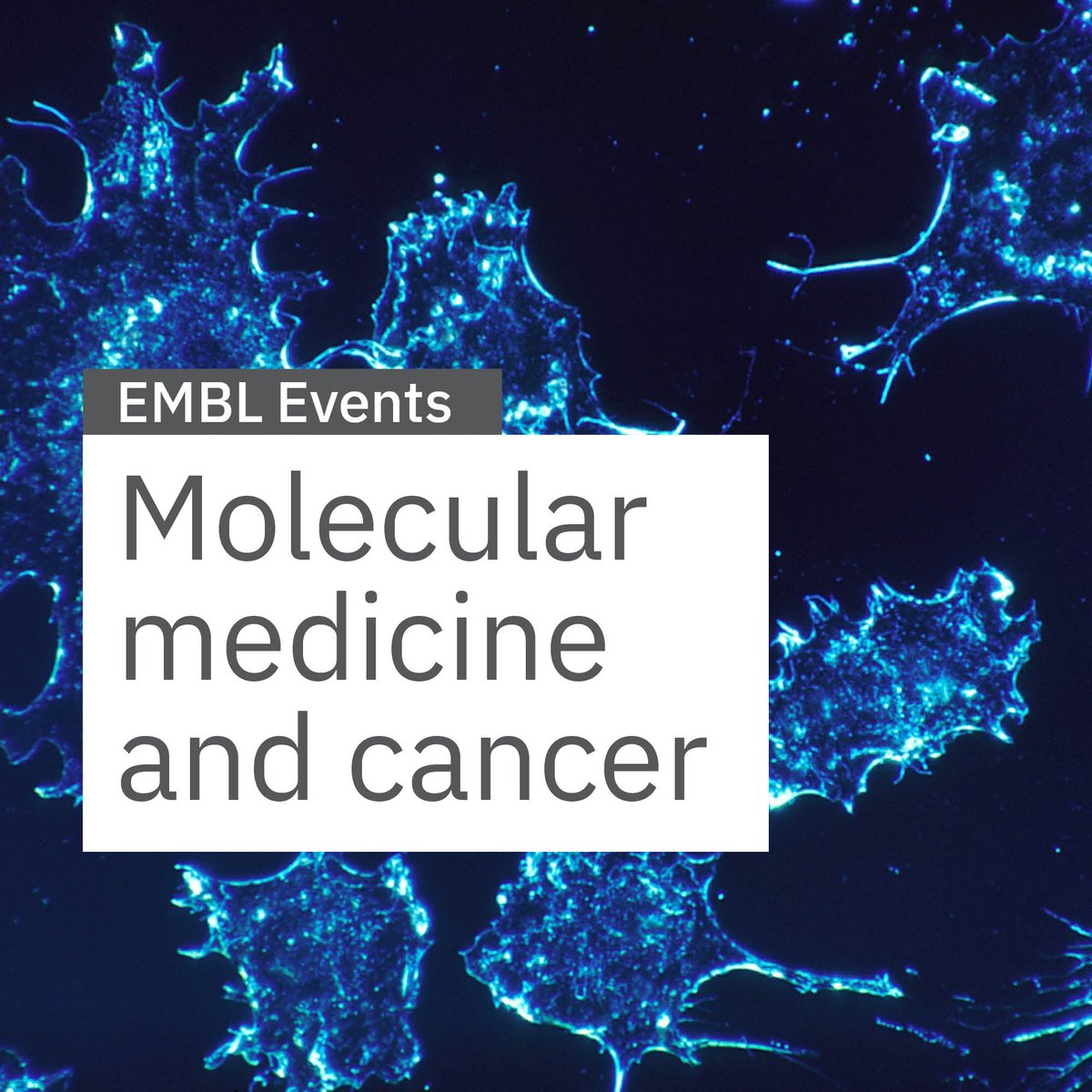 Are you signed up for our 'Molecular medicine and cancer' updates?⚕️🧬👀
Here's our latest newsletter listing upcoming meetings & training opportunities in the field. Join us in Heidelberg or virtually! 📅✍🏽

🔍 mailchi.mp/embl.org/molec…

#EMBL50 #molecularmedicine #cancerresearch