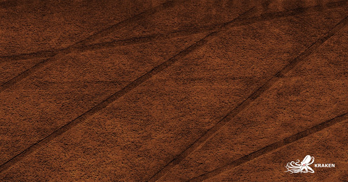KrakenRobotics's tweet image. Kraken Robotics’ Art of SAS series this week features seafloor dredge scars, captured with our KATFISH to the south of Rhode Island. The cropped images show a dimension of 157 meters by 77 meters, while the full image spans 470 meters by 77 meters.

#KrakenRobotics #SAS #ArtOfSAS