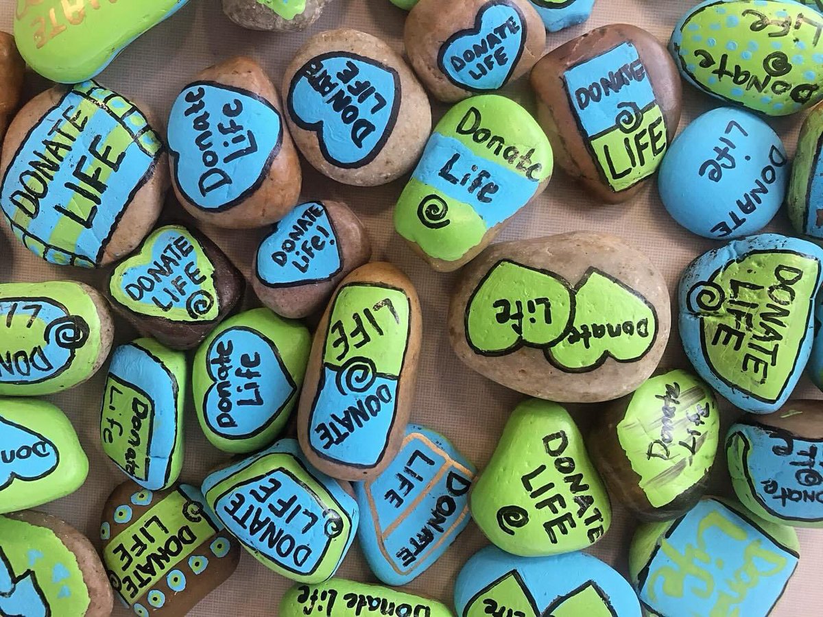 🎨 Join us in celebrating National Donate Life Month Spirit Week by painting rocks to raise awareness!  #DonateLifeRocks #NationalDonateLifeMonth #DonateLife #bare #biliaryatresia #pediatriclivertransplant #donatelifespiritweek